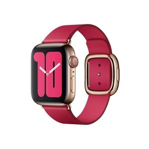 Apple Watch Strap Modern Buckle Raspberry 40mm